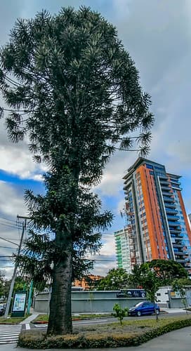 Ciudad de Guatemala, Guatemala