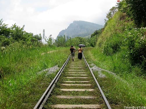 Walking the tracks, Ella