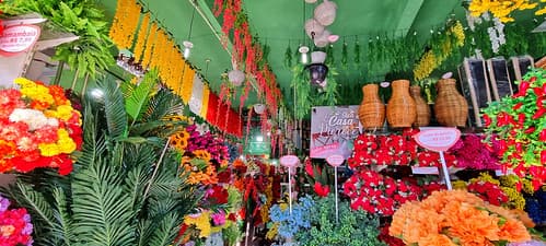 "Sua casa merece" Recife Brésil