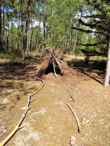 CABANE DANS LA PINÈDE