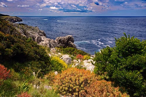 Wild Coast of Capri