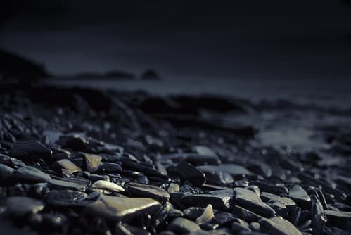 Tide of mood