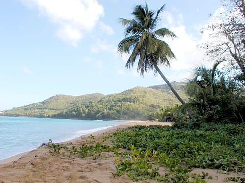 Guadeloupe.