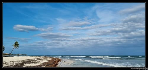 Playa Del Carmen. (Etat du Quintana Roo). Mexique.