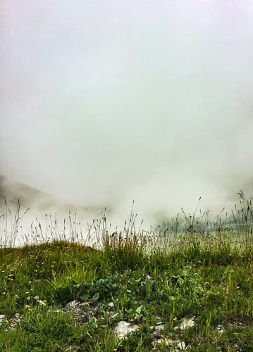 Mountain Mist