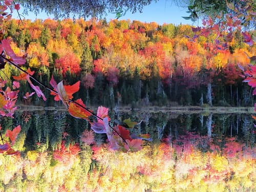 Indian summer - mirrored autumn in East Canada up or down