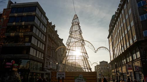 2022-12-14_14-35-44_ILCE-7C_DSC15466_Kiri_DxO