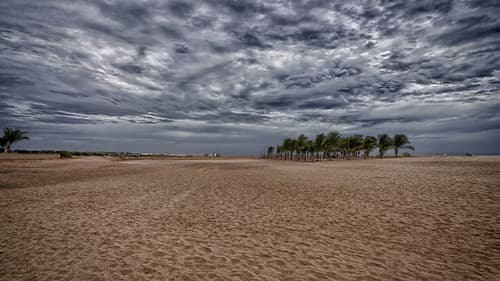 2023-01-17_16-16-16_ILCE-7C_DSCFD7475_hdr_DxO