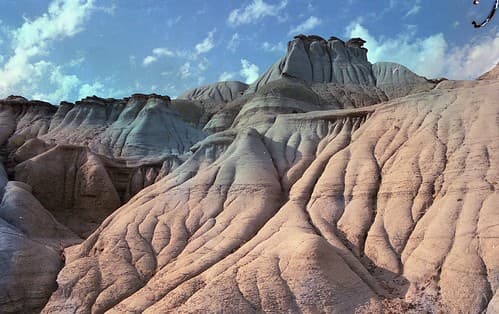 Clumps of dirt