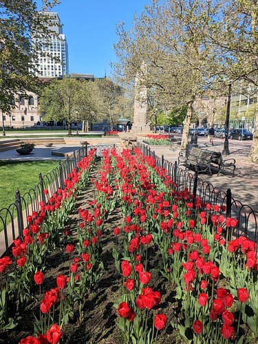 BOSTON