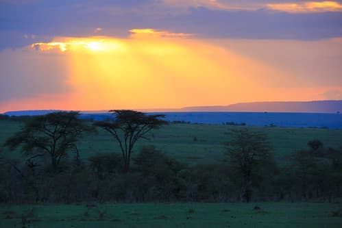 Sunset in the Masai Mara in Kenya