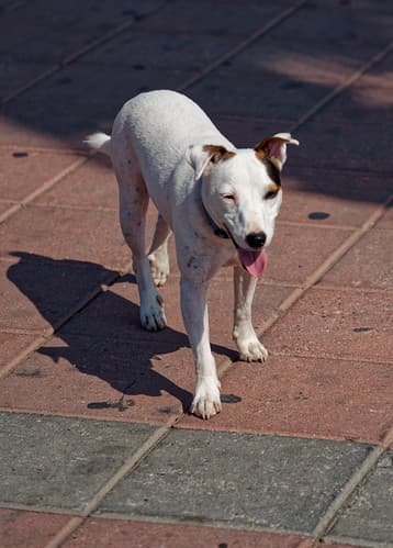 2023-10-11_12-01-11_ILCE-7C_DSCAY2913_DxO