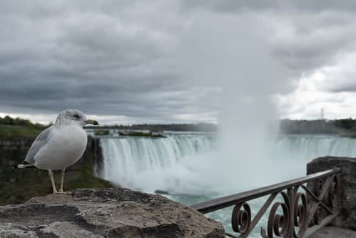 Horseshoe Falls - Niagara Falls, Ontario, Canada - October 15, 2023