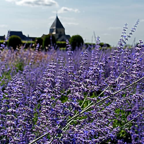 Villandry, Indre-et-Loire, France