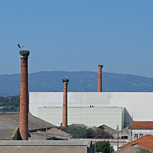 Faro, Algarve, Portugal