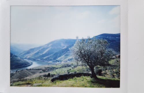 Vallée du Douro