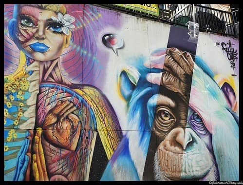 Medellin. Colombie. Colombia.