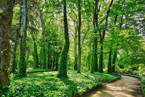 Lyon, parc de la Tête d'Or 20