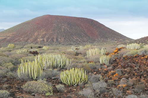 Malpais de la Rasca Tenerife