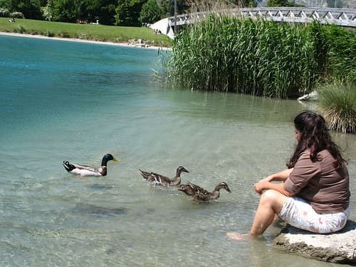 Gina feeds the ducks, Relais du Saint-Bernard, Martigny, Switzerland