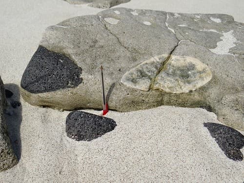 Galet de basalte inclus dans un grès calcaire - Plage Loberia de Punta Pitt à San Cristobal, Galapagos