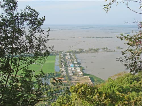 Rizières inondées à la frontière entre le Vietnam et le Cambodge