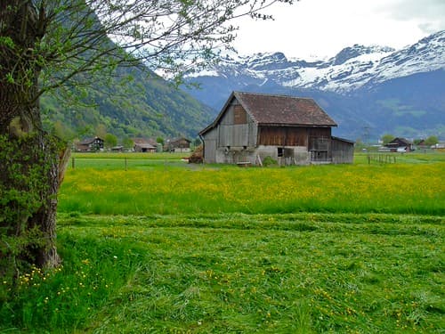 Lucerne