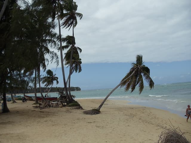 Lookea Samana fevrier