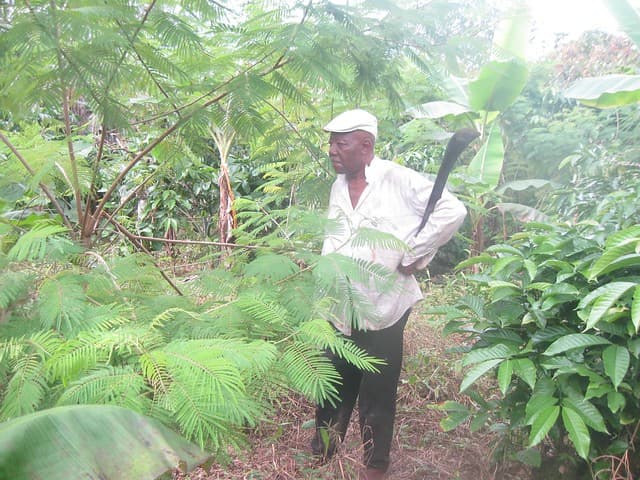 oyage cameroun