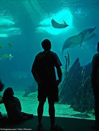 Oceanário de Lisboa - Portugal