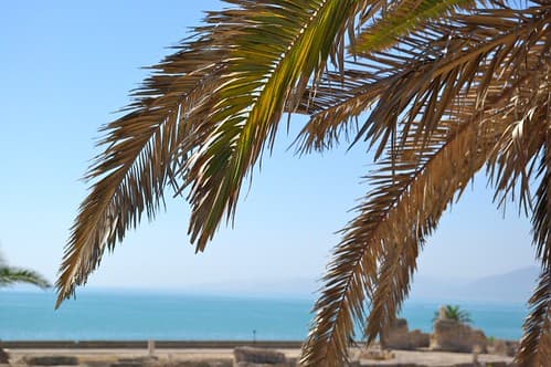 Vue des ruines de Carthage