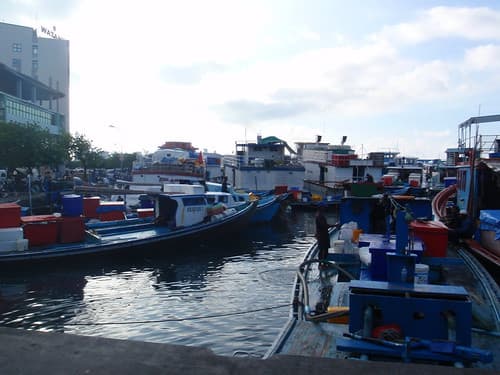 Malé
