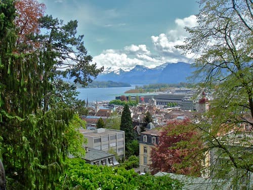 Lucerne