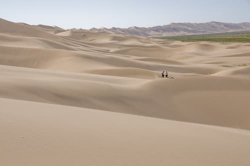 The sand dunes of Khongoryn Els, Mongolia