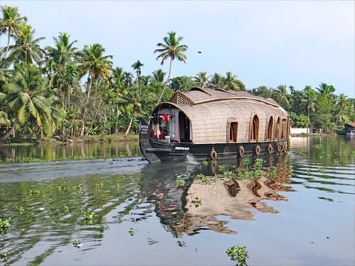 Dans les Backwaters (Kerala, Inde)