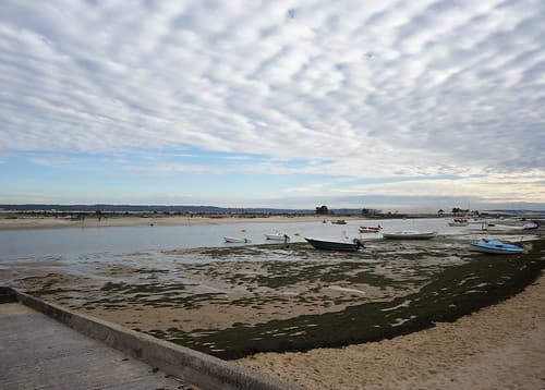 Marée basse