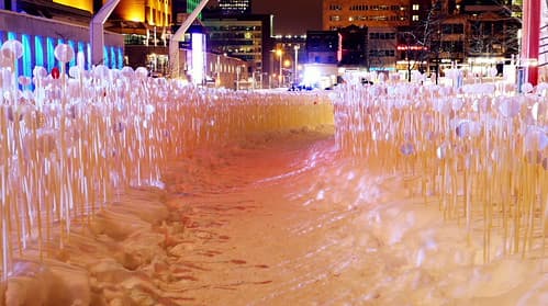 Kanva, en collaboration avec Udo Design, Côté Jardin, Patrick Watson, Boris Dempsey et Pierre Fournier, Entre les rangs, 2013