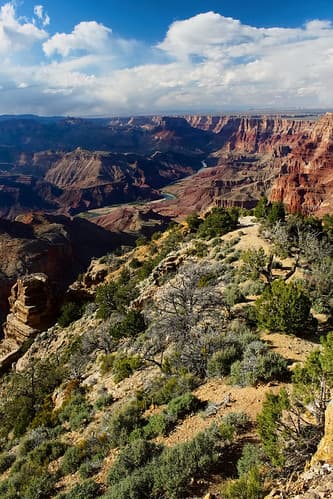 Vue sur le Grand Canyon depuis un belvédère