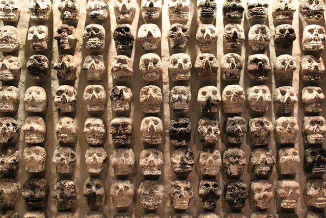 Hotel Viva Wyndhaml Maya