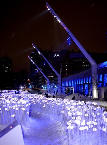 Kanva, en collaboration avec Udo Design, Côté Jardin, Patrick Watson, Boris Dempsey et Pierre Fournier, Entre les rangs, 2013