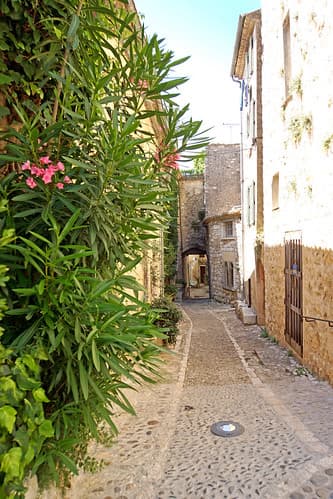 France-002671 - Searching......