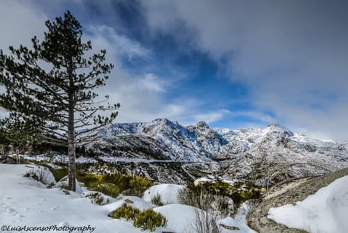 Serra da Estrela #2 - Portugal
