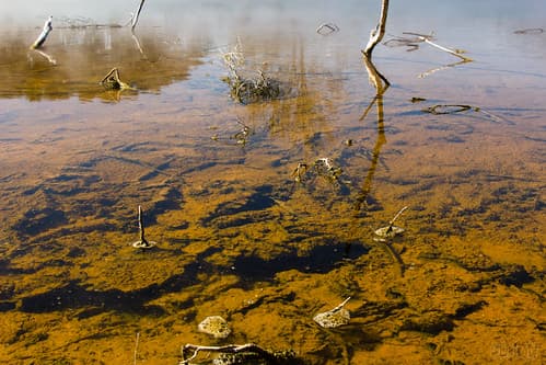 Rotorua Nouvelle-Zelande — photo de Ubaían