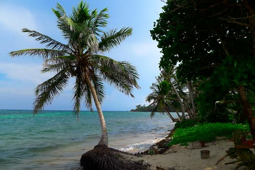 Little Corn Island