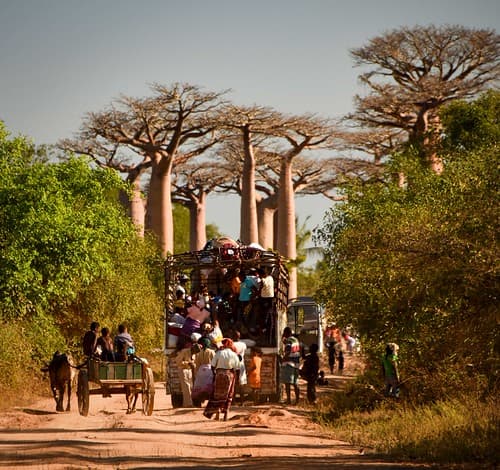 Travel Stop, Madagascar