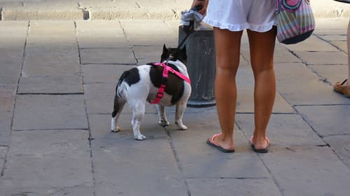 Barcelone