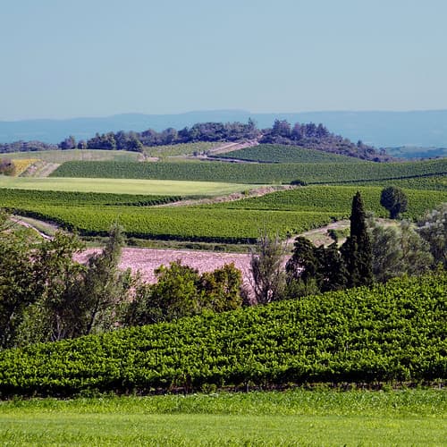 Alaigne, Aude, France