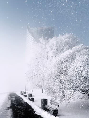 Freezing and foggy morning in the city!