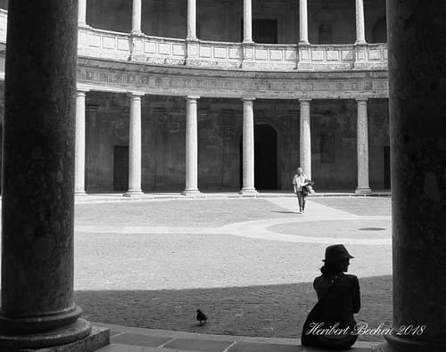 DSC04419 bw.jpeg - Granada