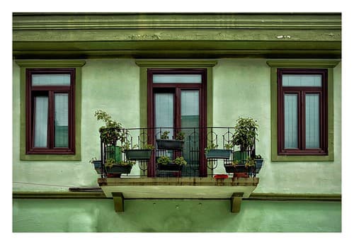 More Shades of Green